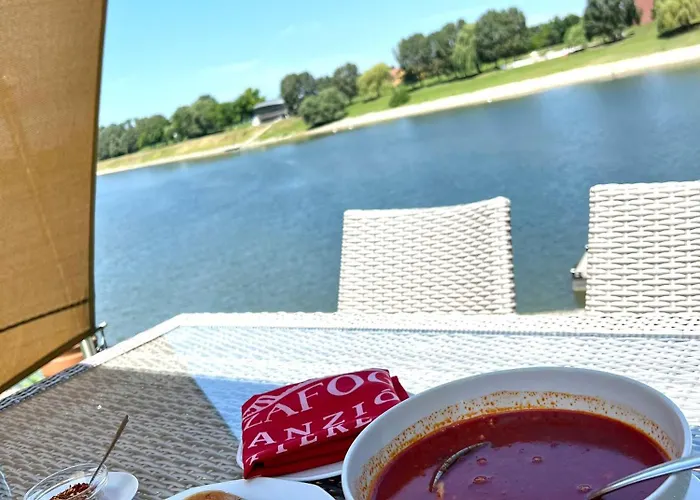 Vizafogo Panzio Es Etterem 4* Baja