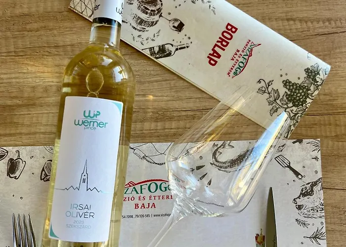 Vizafogo Panzio Es Etterem 4* Baja