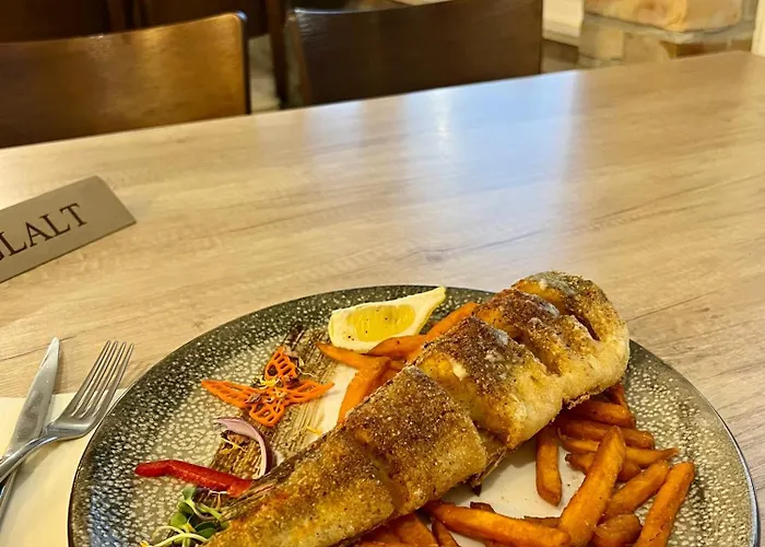 Vizafogo Panzio Es Etterem 4* Baja