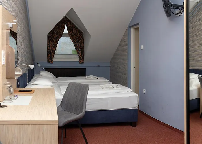 Vizafogo Panzio Es Etterem 4* Baja