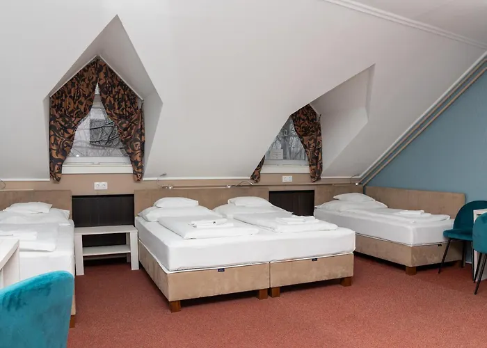 Guest house Vizafogo Panzio Es Etterem Baja