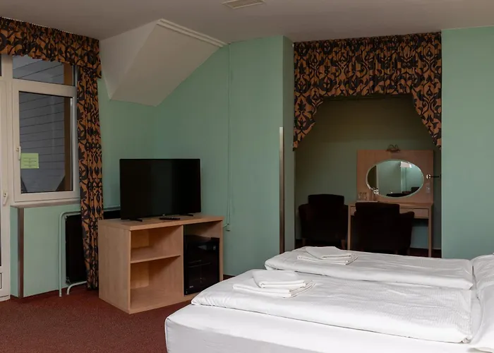 Vizafogo Panzio Es Etterem Guest house Baja