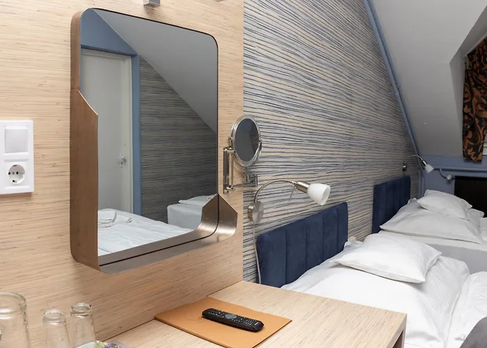 Vizafogo Panzio Es Etterem Guest house 4*