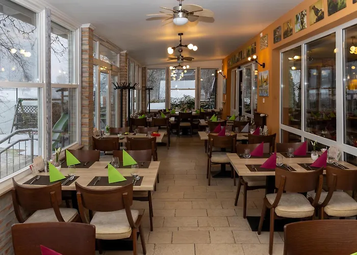 Vizafogo Panzio Es Etterem Guest house Baja