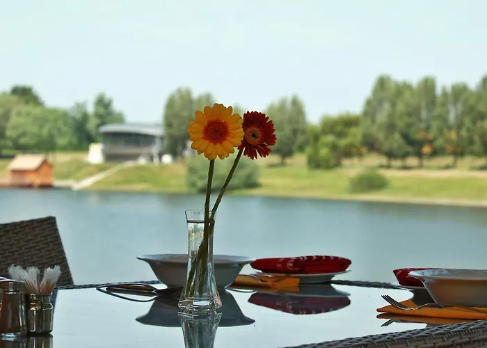 Vizafogo Panzio Es Etterem