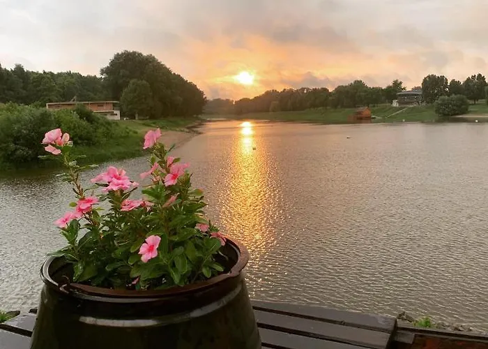 Vizafogo Panzio Es Etterem Baja