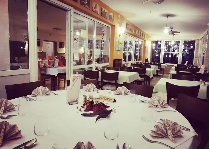 Vizafogo Panzio Es Etterem Baja