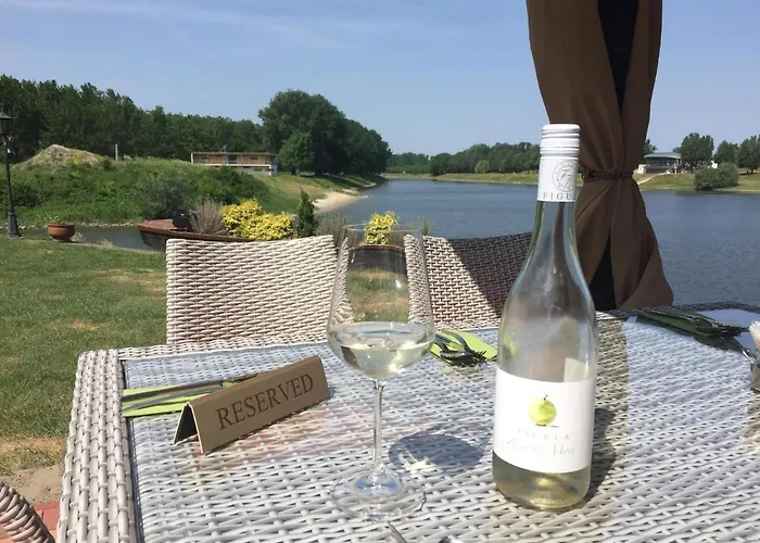 Guest house Vizafogo Panzio Es Etterem 4*